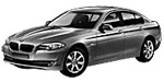 BMW F10 P111E Fault Code
